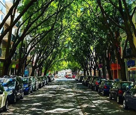 Campo De Ourique * リスボン