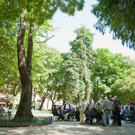 Campo De Ourique Pensionat *
